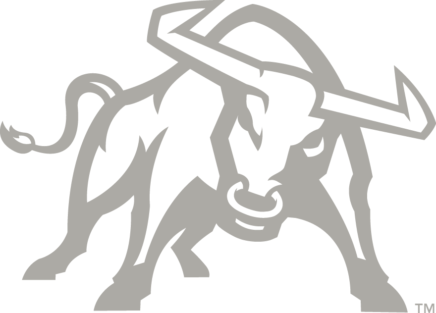 Utah State Aggies 2012-Pres Alternate Logo v4 iron on transfers for T-shirts